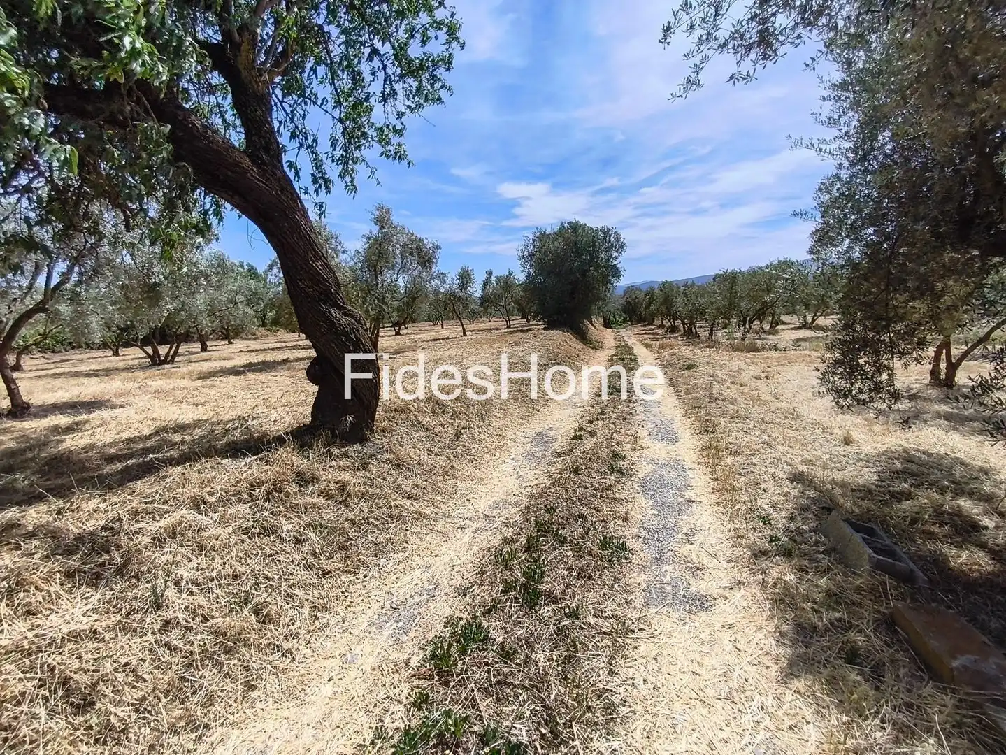 Rural land for sale in XFJ3+526 Nigüelas 0, imagen 4