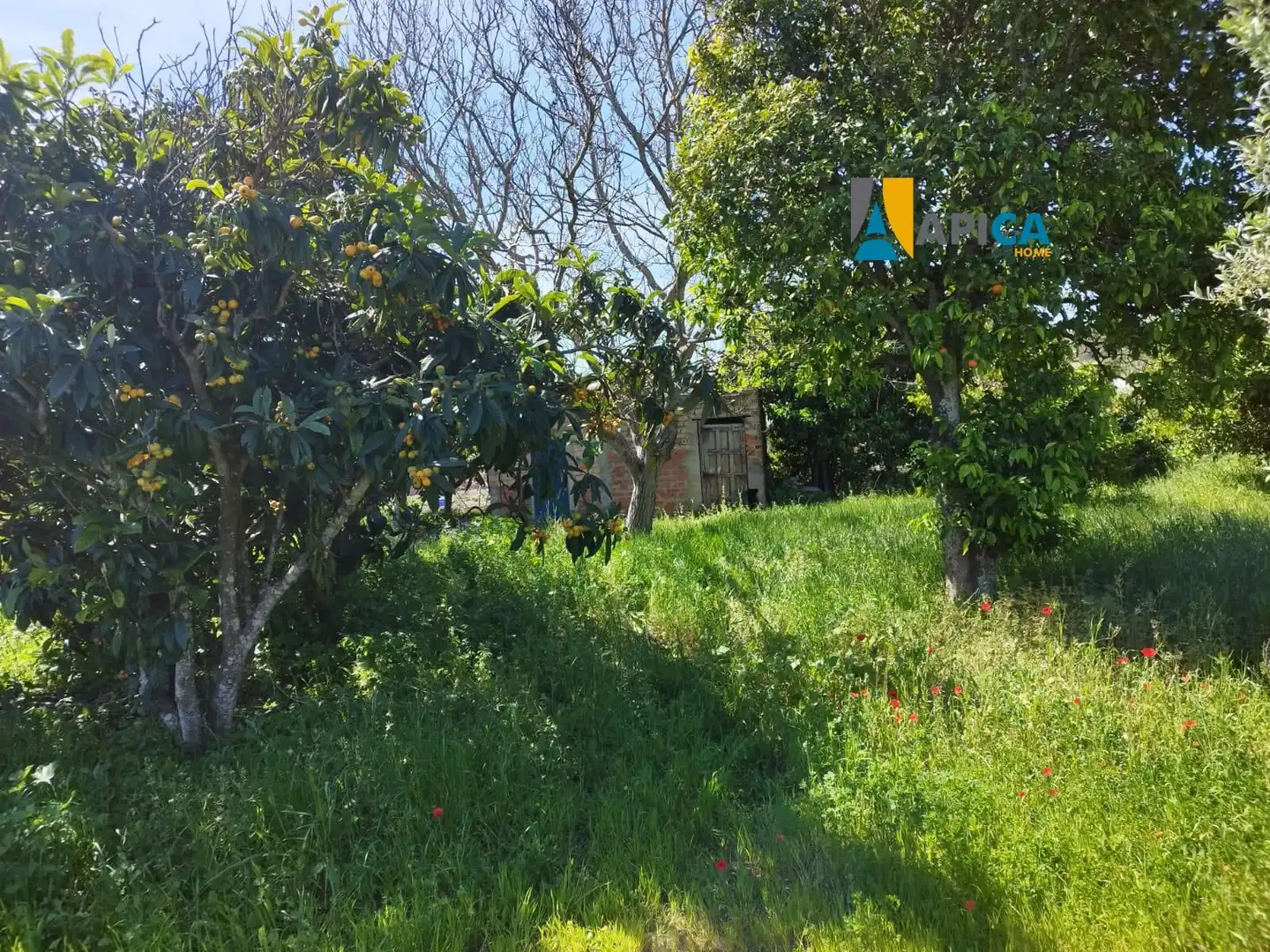 Casa o xalet en venda a Barbate ciudad