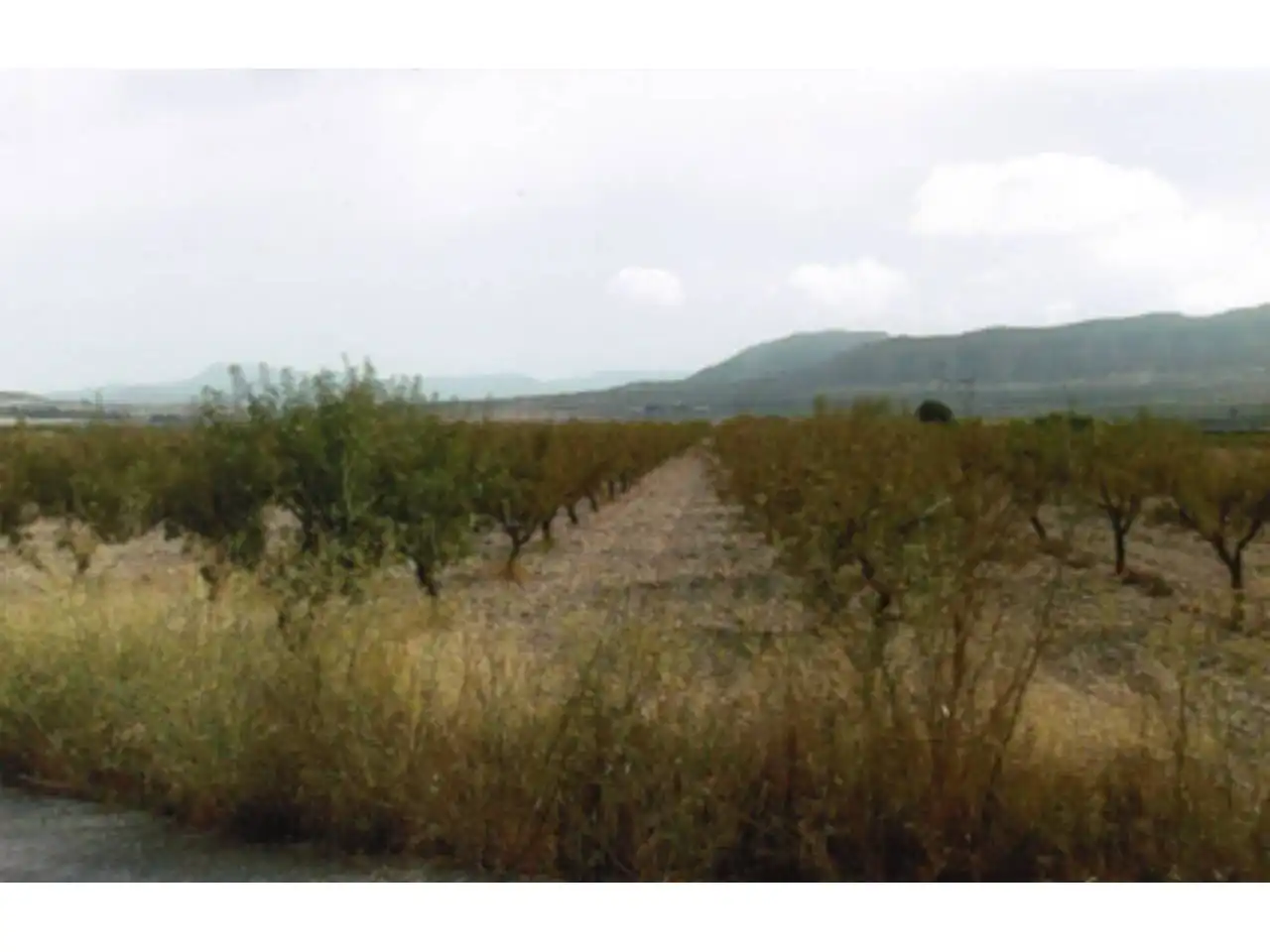 Residential land for sale in 11, imagen 2