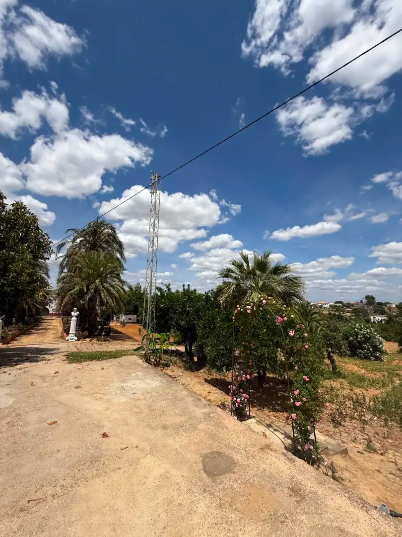 Chalet con piscina en venta en Carretera Olivares, imagen 66
