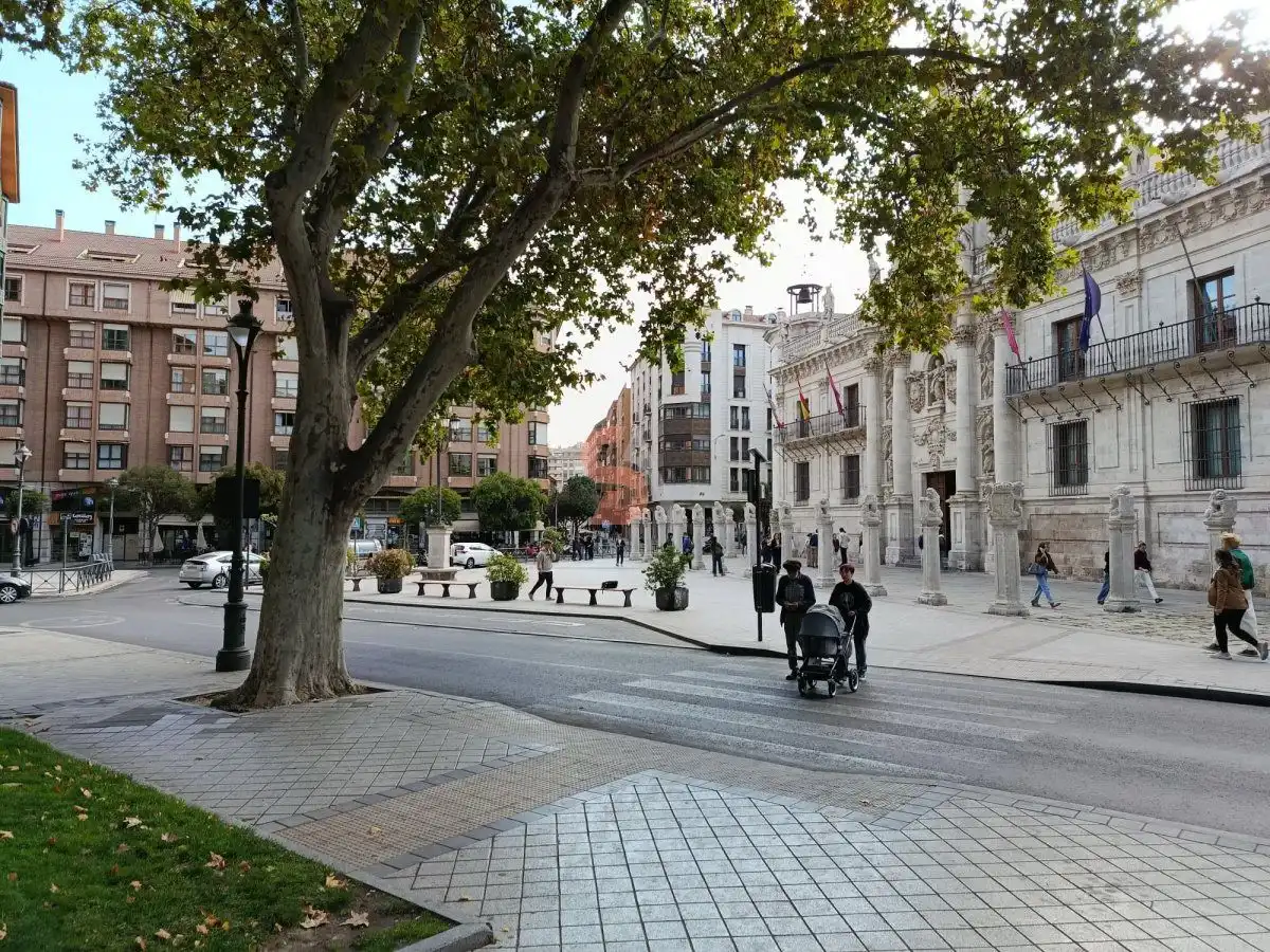 Local comercial de lloguer a TRAVESÍA DE LA VERBENA, imagen 3