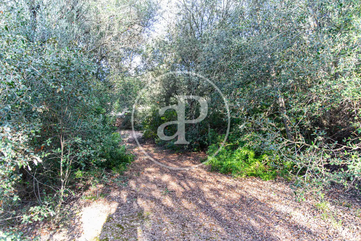 Residencial en venta en Santa Margalida