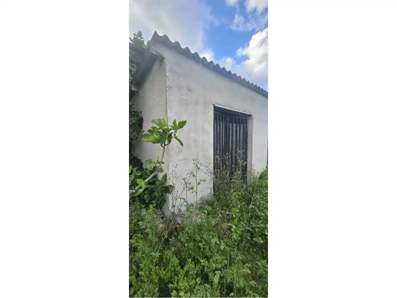 Terreno rústico en venta en Camino Séquia Nova 1, imagen 3