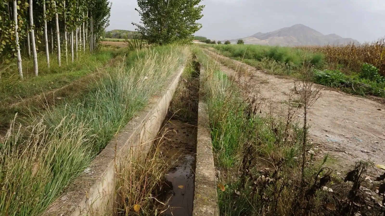 Rustikales Grundstück zum Verkauf in Pinos Puente, imagen 17