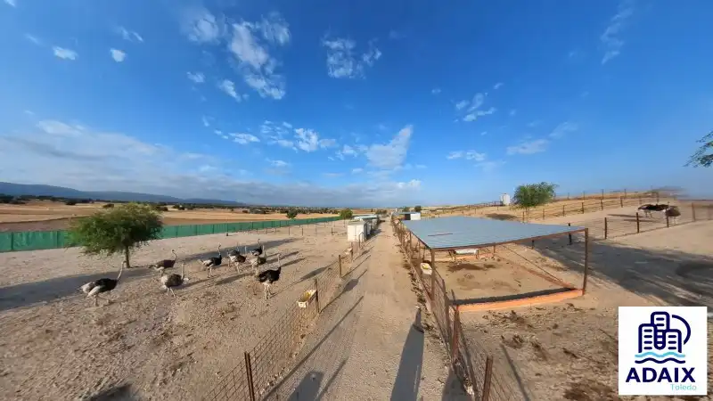 Vista exterior de Finca rústica en venda en Pulgar amb Calefacció i Terrassa