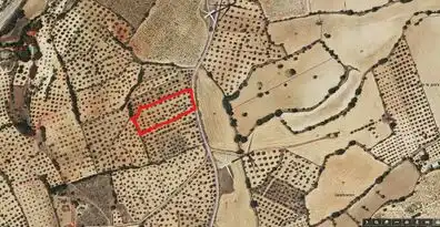 Terreno rustico in vendita a Calle Diseminado 126, imagen 4
