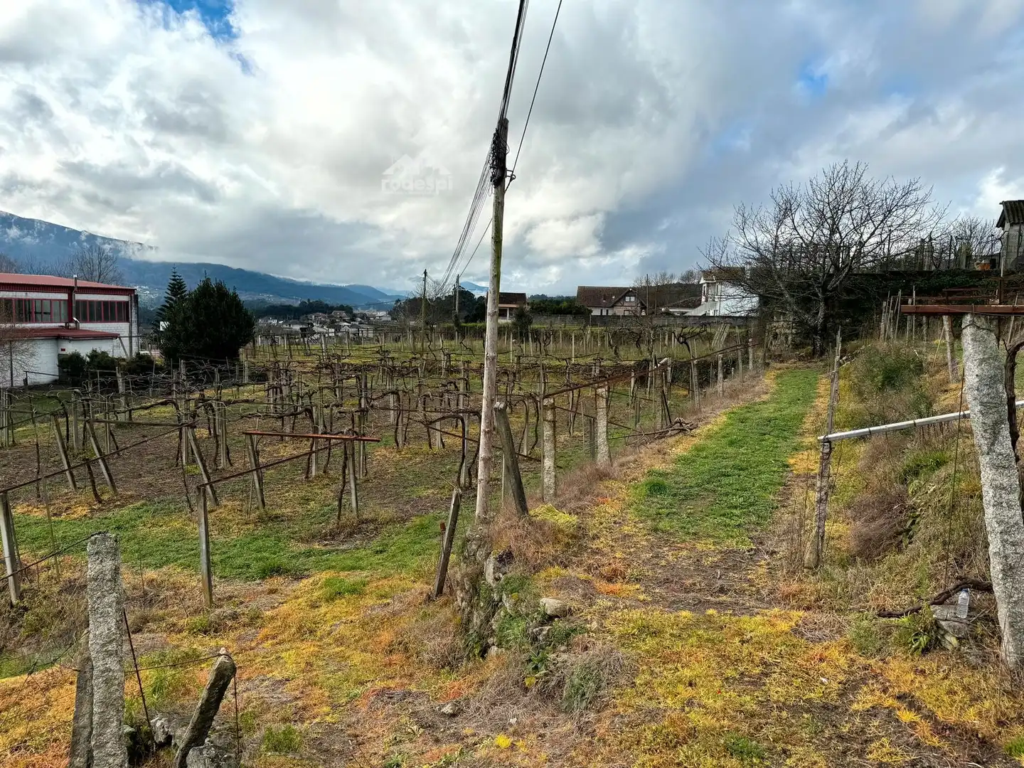 Rural land for sale in Arbo, imagen 7