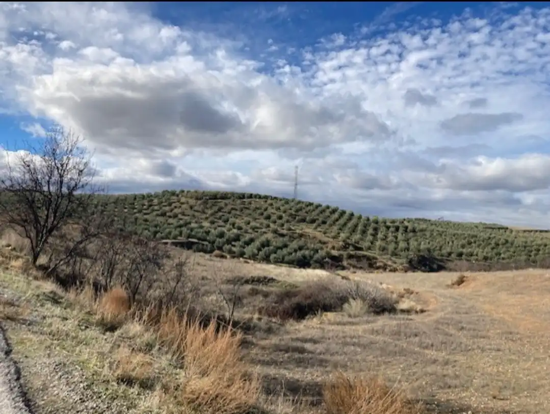 Terreni e lotti in vendita a Camino de la Dehesa, imagen 4