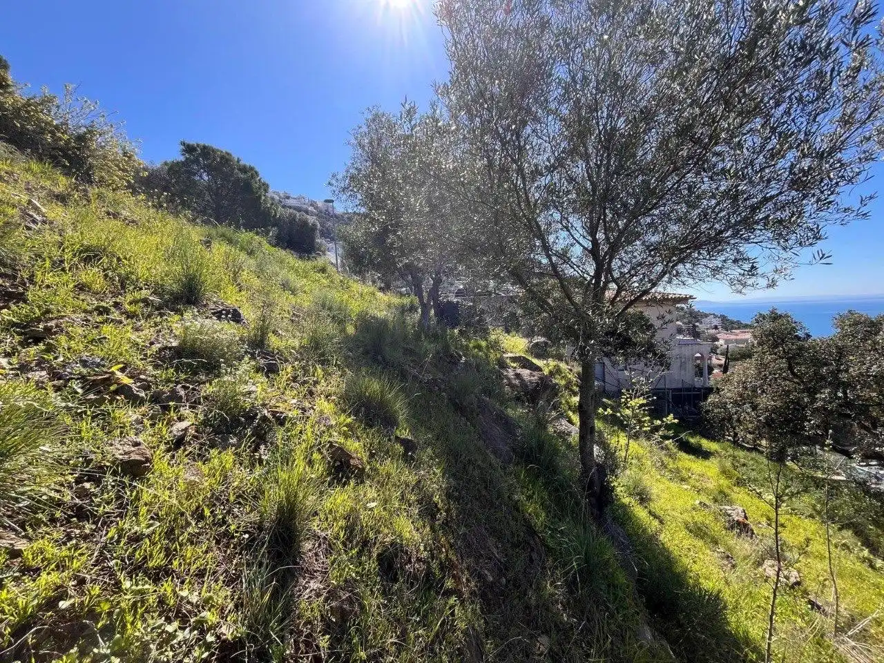 Terrenys i solars en venda a Pasaje de Marià Aguiló 19, imagen 10
