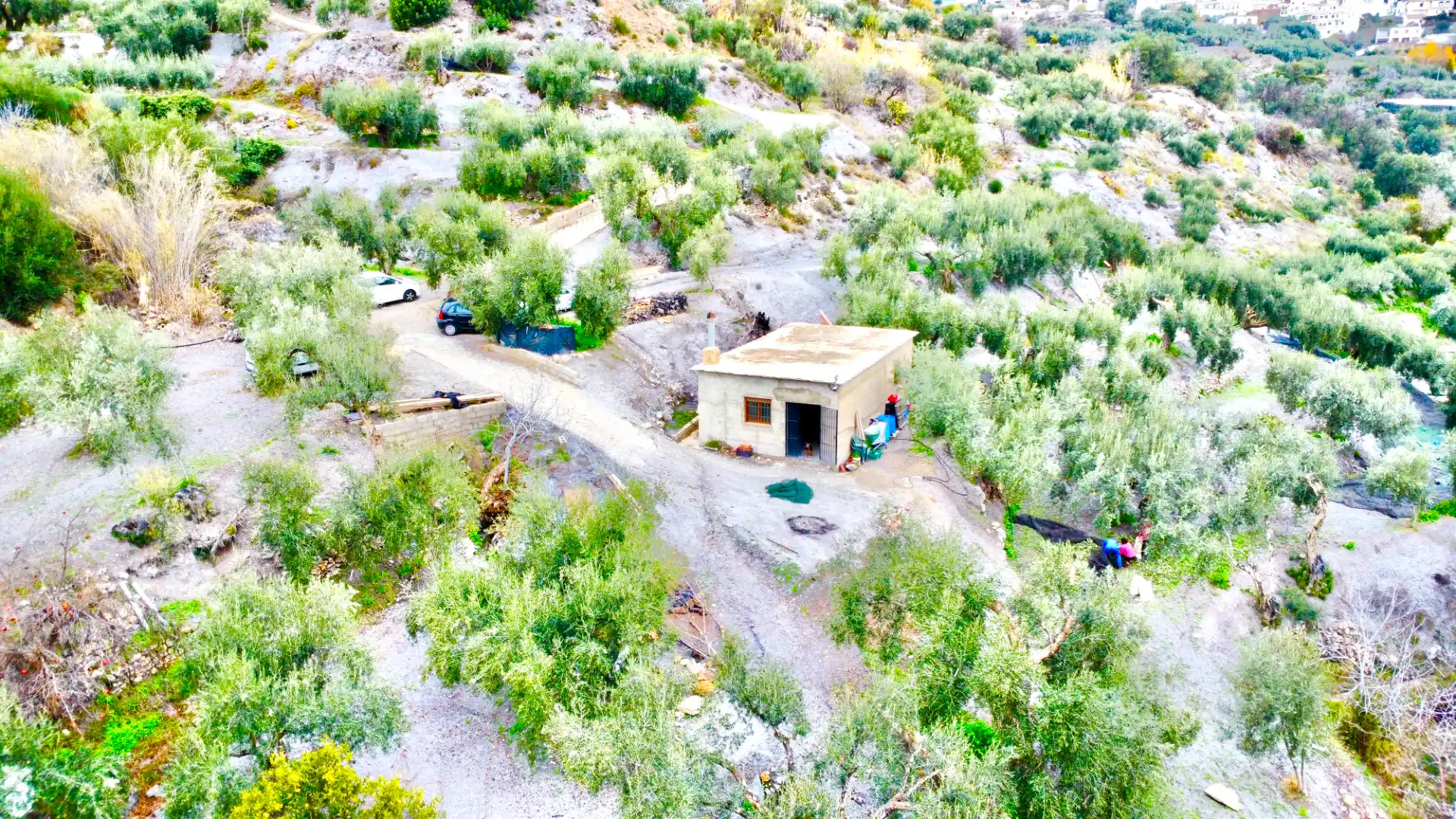 Terreni e lotti in vendita a Lugar Cortijo El Peñon, imagen 43