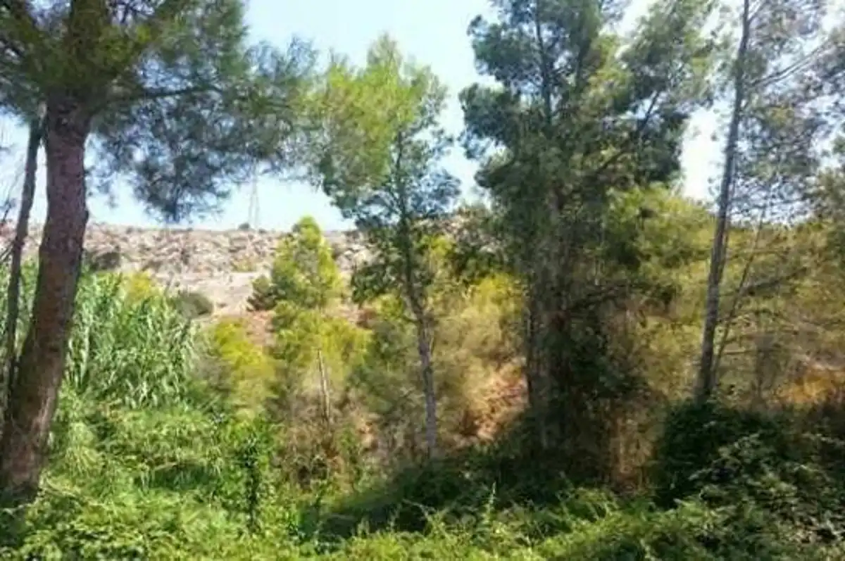 Terreny residencial en venda a Calle Corbeta, imagen 5