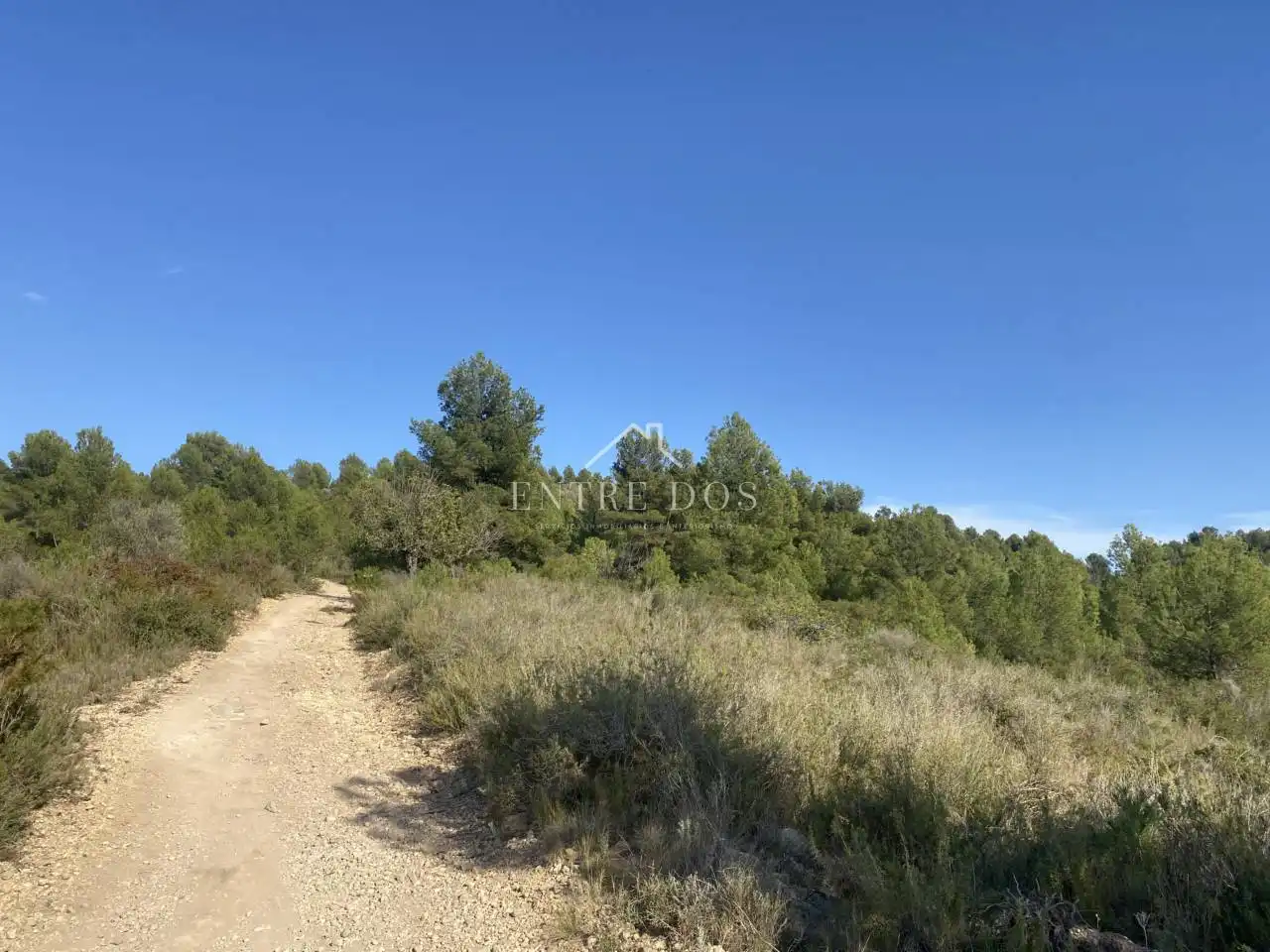Rural land for sale in 18 parcela 79