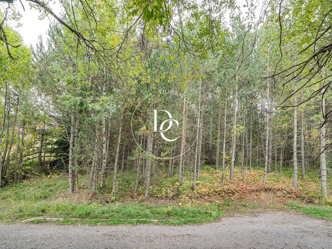 Residential for sale in Alp