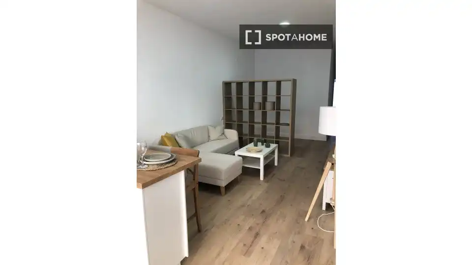 Sala de estar de Piso de alquiler en Madrid con Aire acondicionado, Calefacción y Amueblado