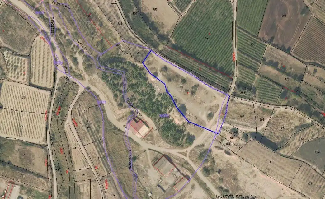 Land for sale in Rincón de Soto