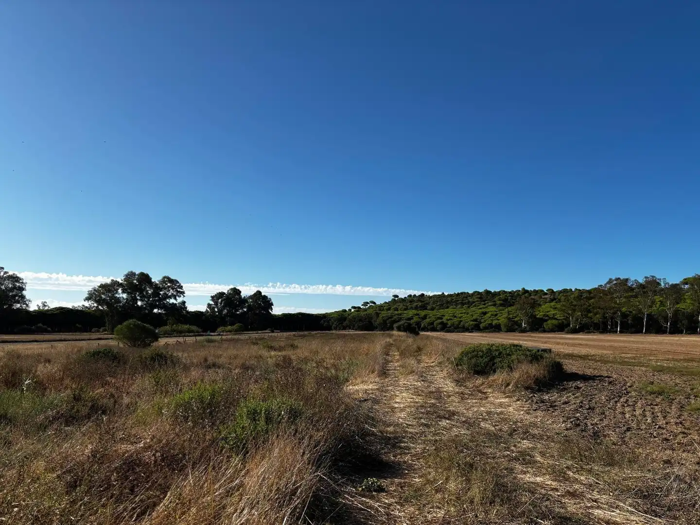 Residential land for sale in Núcleo urbano, imagen 3