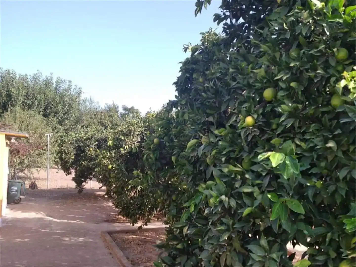 Finca rústica en venda en Almodóvar del Río amb Aire condicionat i Piscina
