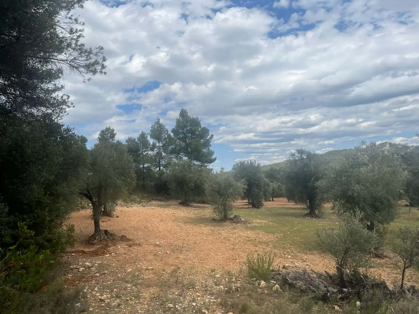 Terreni e lotti in vendita a Cretas, imagen 2