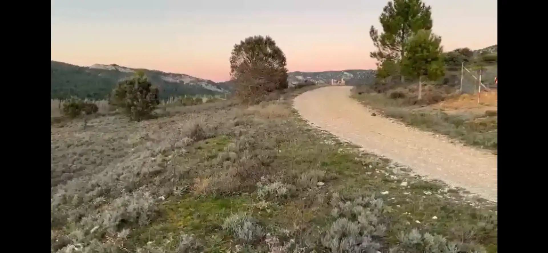 Exterior view of Land for sale in Cañamares