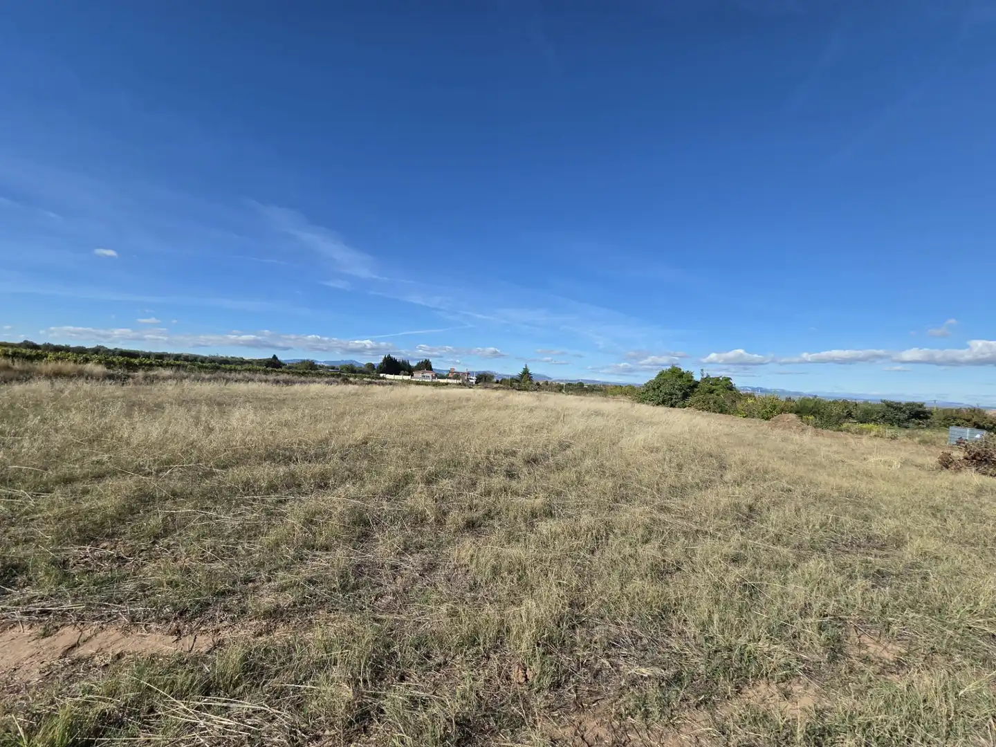 Terrain rustique à vendre à Alberite, imagen 13