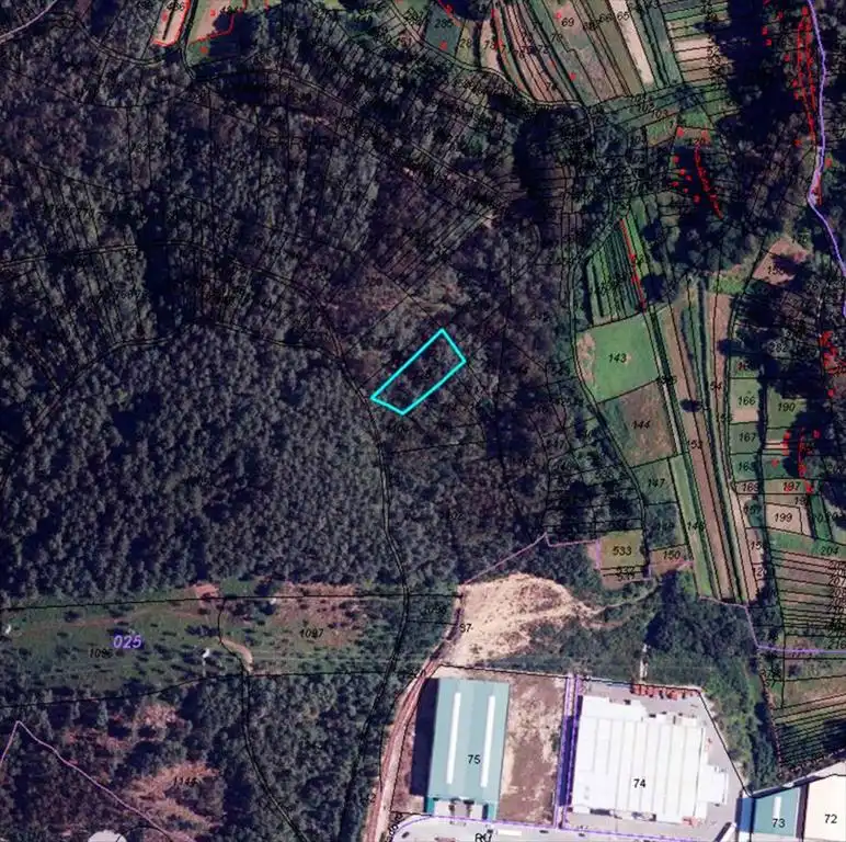 Terreno rustico in vendita a Cea, imagen 2