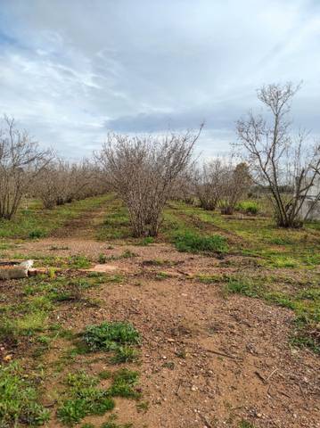 Terreno en Venta en TV-7222, 4 en Vilallonga del Camp