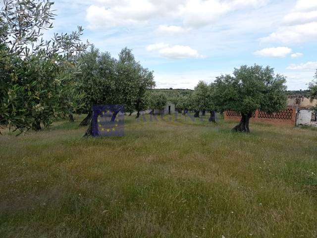 Finca rústica en Venta en N/A en Alcántara