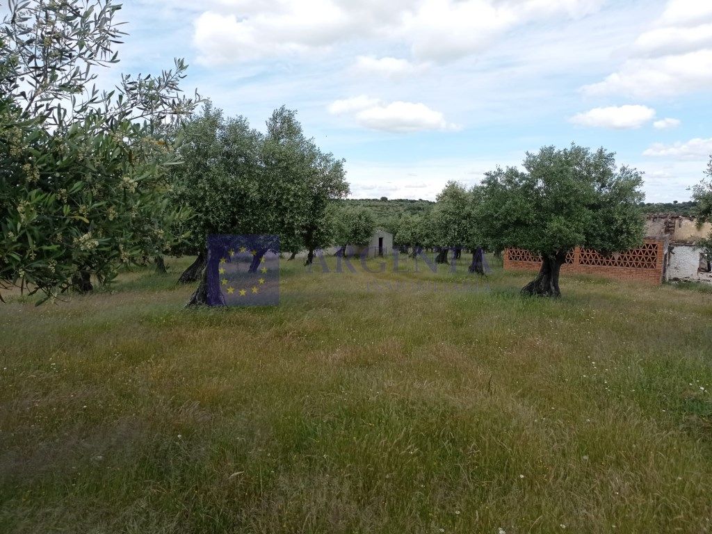 Finca rústica en venda en Alcántara amb Terrassa