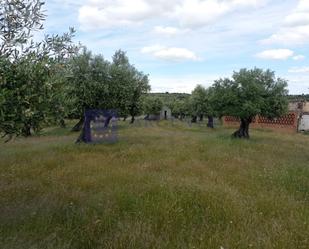 Finca rústica en venda en Alcántara amb Terrassa