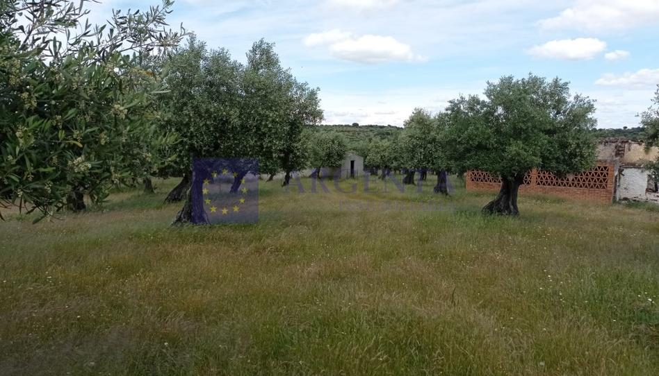 Foto 1 de Finca rústica en venda a N/a, Alcántara, Cáceres