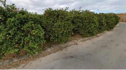 Foto 4 de Casa o chalet en venta en Camino Bancalons, Oliva pueblo, Valencia