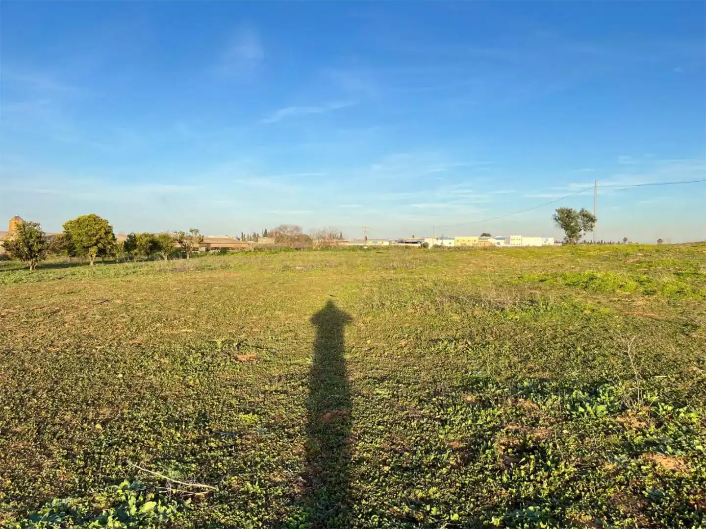 Terreno en venta en Benacazón