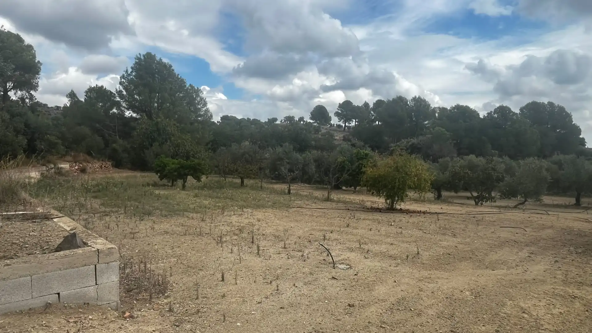 Terreno rustico in vendita a Carrer de Sant Abdó i Sant Senén, imagen 39