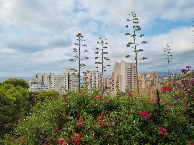Exterior view of Single-family semi-detached for sale in Cullera  with Heating, Private garden and Terrace