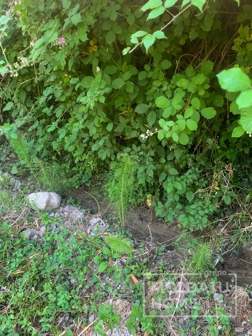 Terreno en venta en Belascoáin