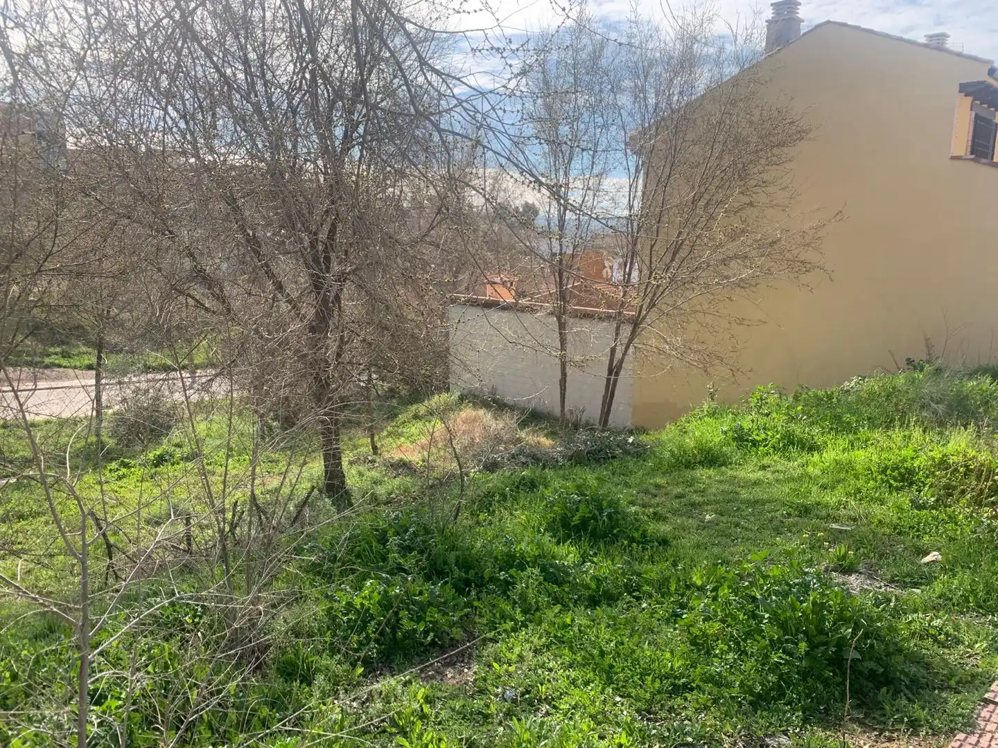 Terreno residencial en venta en Plaza Mayor 2, imagen 3