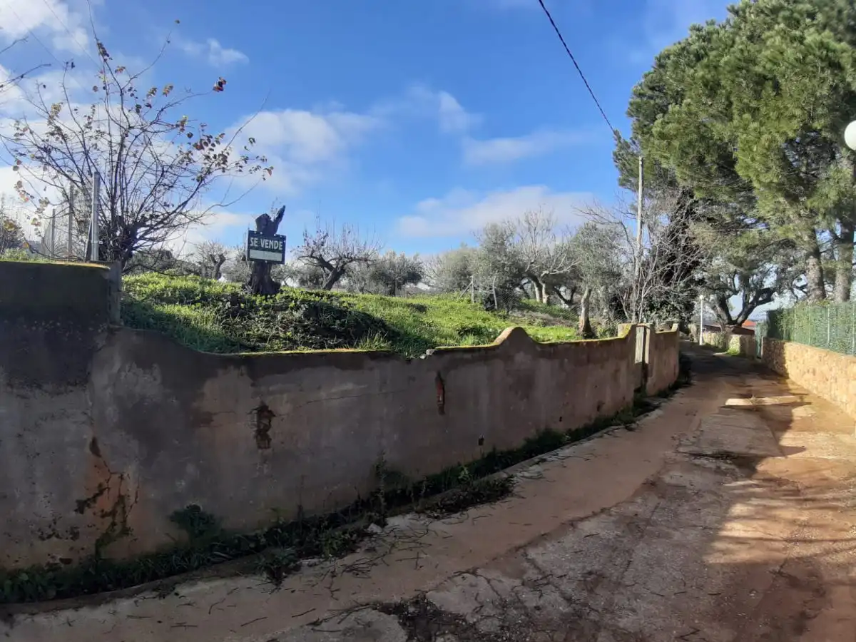 Terreni e lotti in vendita a Cañaveral, imagen 2