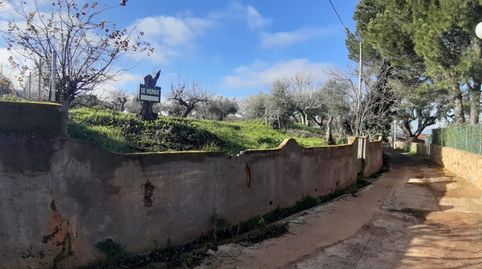 Imatge 2 de l'anunci