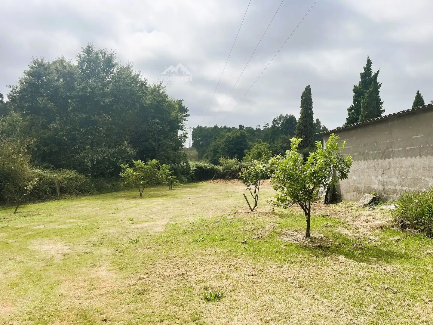Rural land for sale in Covelo