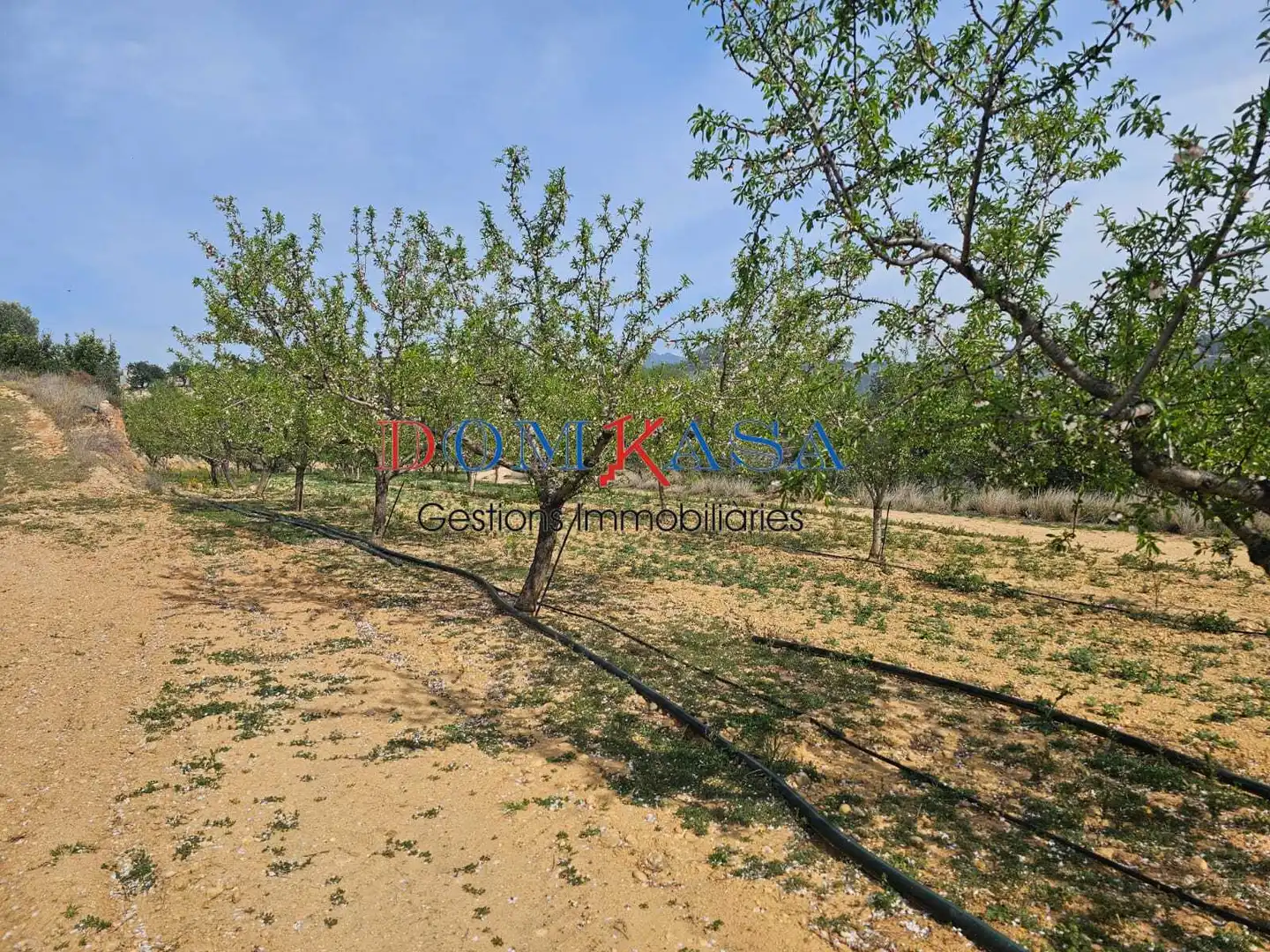 Industrial buildings for sale in Xerta