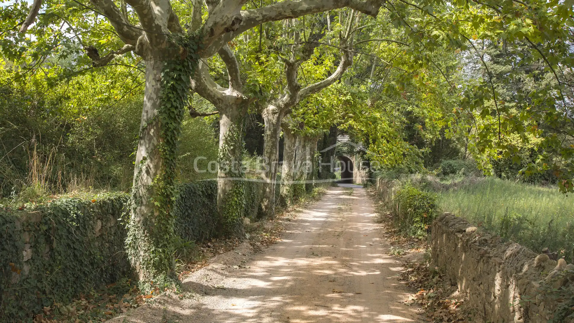Finca rústica en venta en Afores, Flaçà