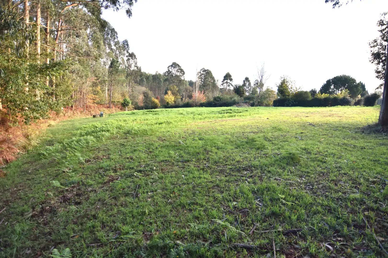 Houses for sale in Narón  with Heating, Private garden and Storage room