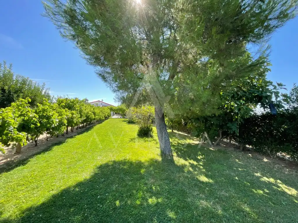 House for sale in Fuente El Saz de Jarama, imagen 4