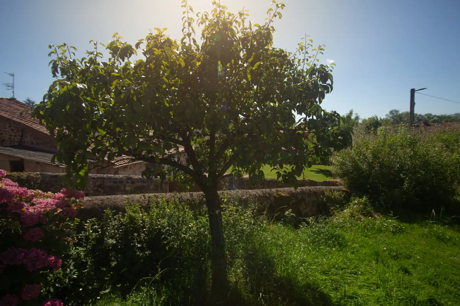 Jardín de Casa o chalet en venta en Mazcuerras con Calefacción, Jardín privado y Parquet