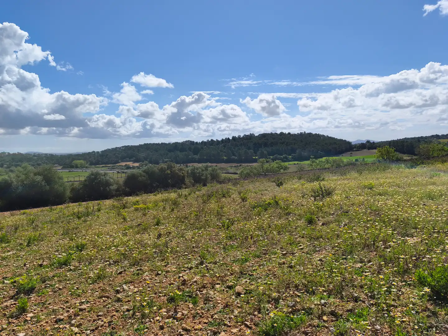 Terrain rustique à vendre à Carrer del Consistori 2, imagen 4