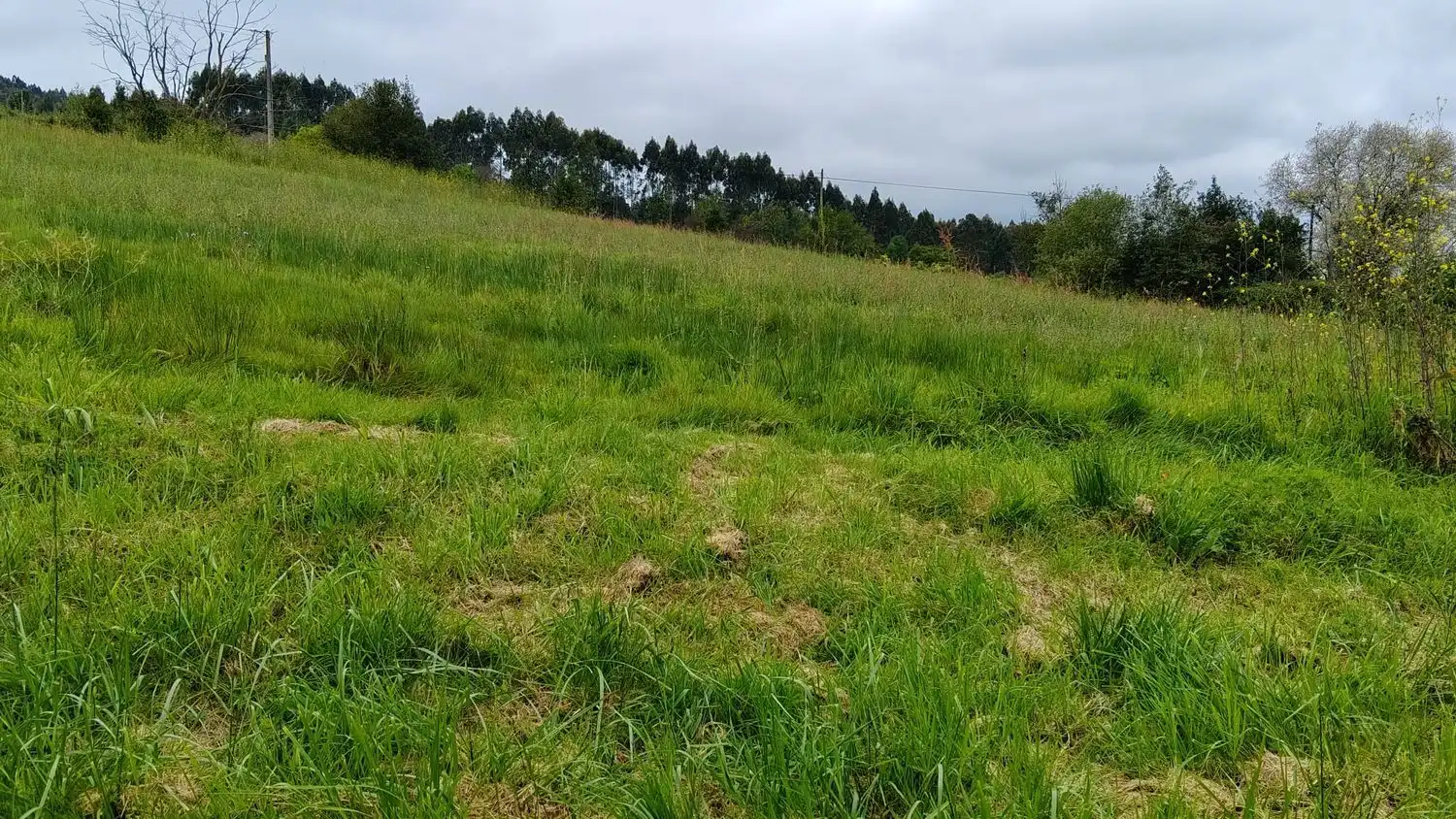 Residencial en venda en Villaviciosa