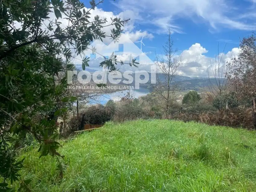 Casa o chalet en venta en Castrelo de Miño