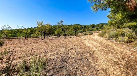 FINCA RUSTICA EN EL CORAZON DE LA MONTAÑA  DE CASTALLA, immagine 4