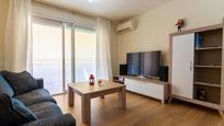 Living room of Flat for sale in Olesa de Montserrat  with Air Conditioner, Heating and Storage room