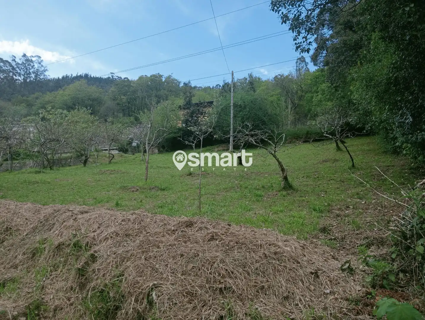 Casa o chalet en venta en Ramon Cajal, Piloña